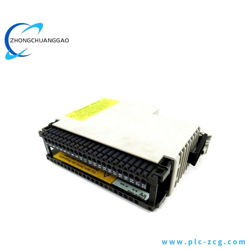 Schneider AS-BDAU-204 ANALOG OUTPUT MODULE