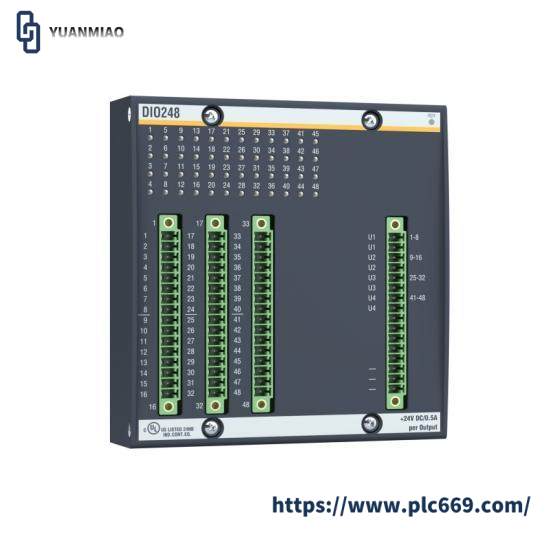 Bachmann DIO248  BACHMANN ELECTRONIC DIO248