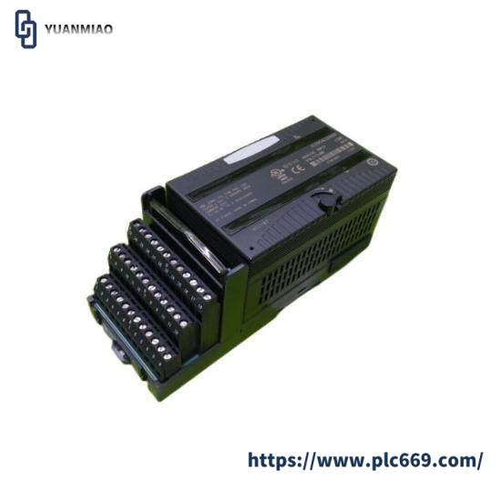 GE Fanuc IC200ALG266F input module