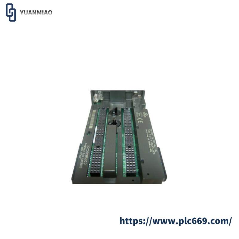 GE IC200CHS022 carrier module