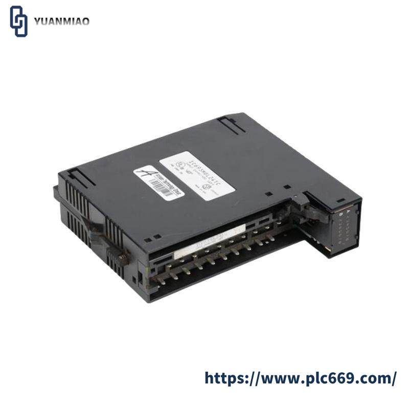 GE IC693MDL241 Positive/Negative Input module