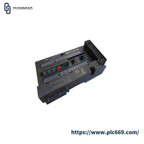 General Electric IC200CHS003 I/O Modules