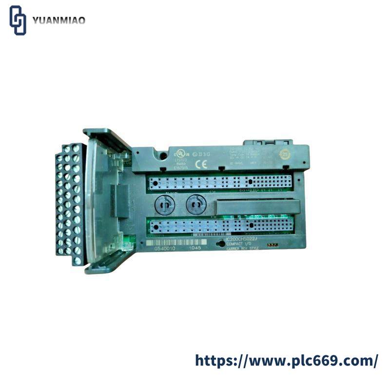 GE IC200CHS022J Analog input MODULE