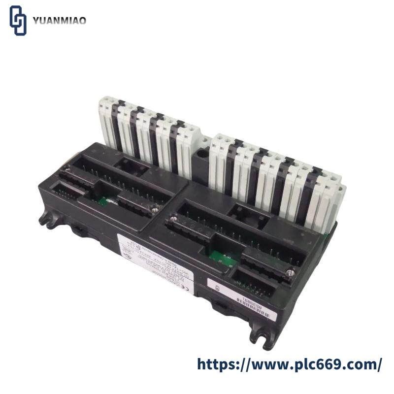 GE IC670CHS002 I/O terminal block