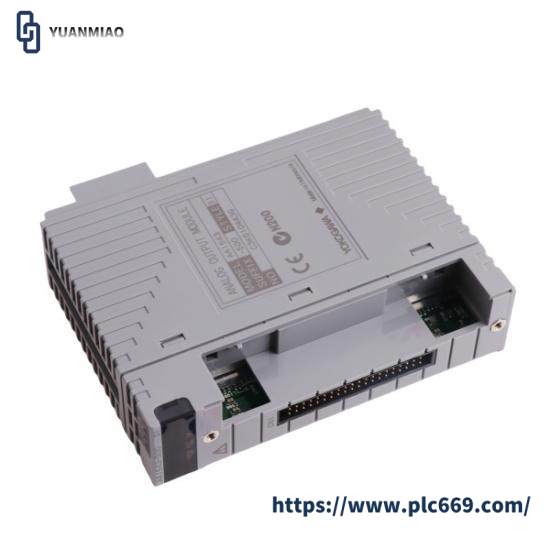 Yokogawa AAI543 Analog Output Module