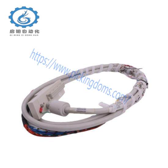 16137-116  Moore I/O Cable