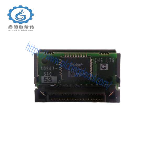 1747-M12  Flash Memory Module