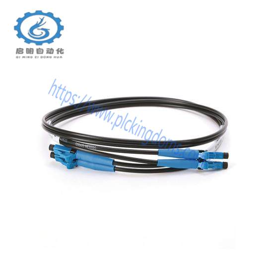 1756-RMCI Fiber Cable