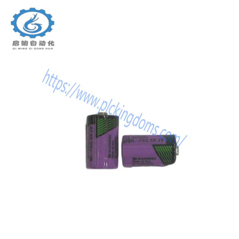 ABB SB808F 3BDM000199R1 SB 808F Battery for RAM buffering, 2 pcs