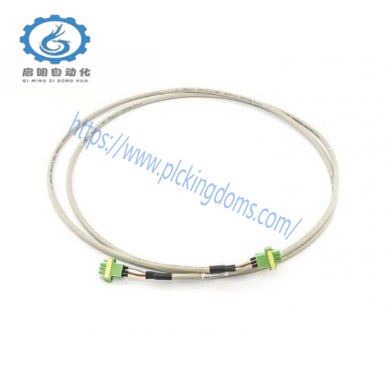 ABB TK821V020 3BSC950202R1