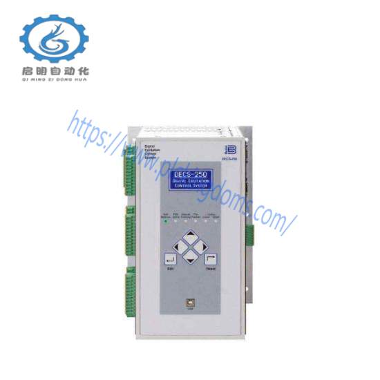 Basler DECS-200-2L