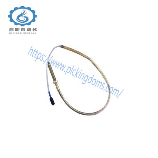 BENTLY 330101-12-40-10-02-CN