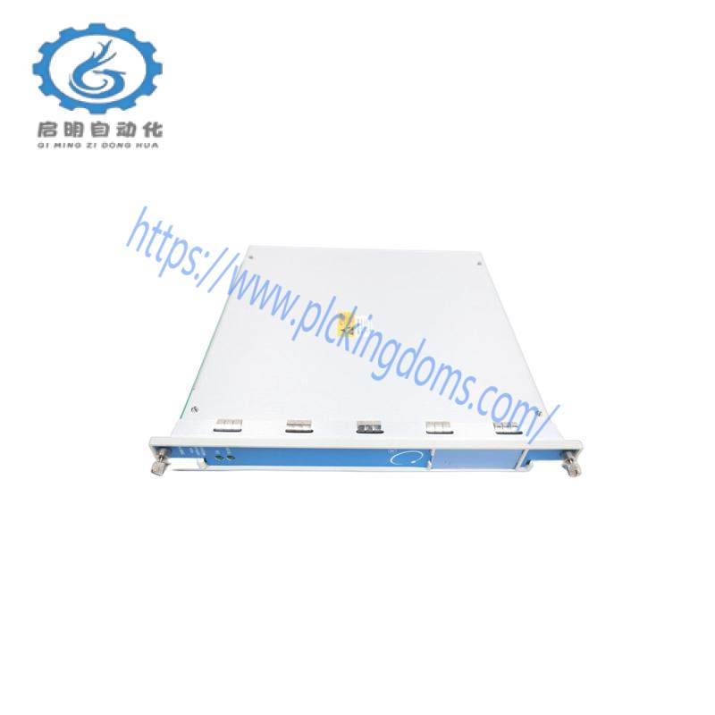 Bently Nevada 125388-01H Half-height Module
