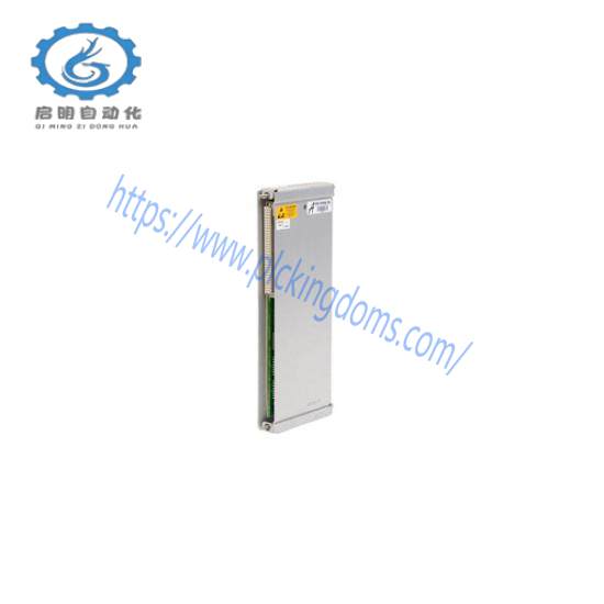 Bently Nevada 125720-01 Relay Output Module