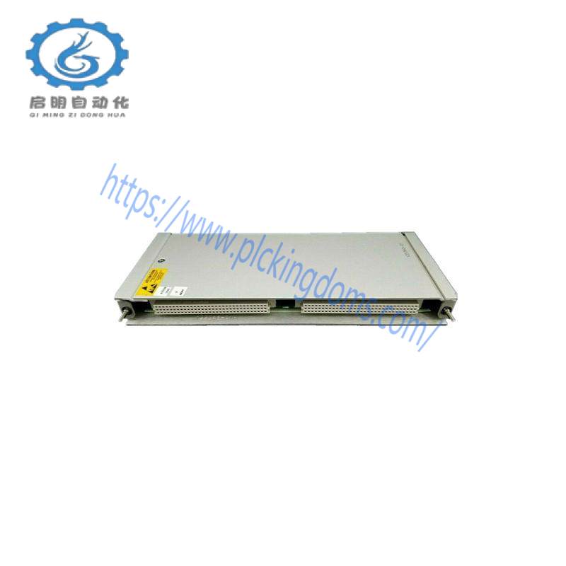 BENTLY NEVADA 125760-01 DATA MANAGER I/O MODULE