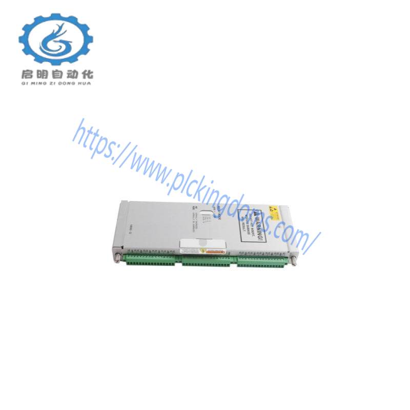 BENTLY NEVADA 137074-01 Output Module