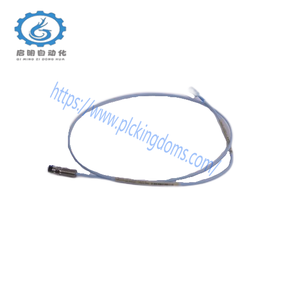 Bently Nevada 300103-A00-B09-C10-D02-E0