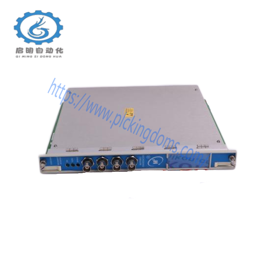 Bently Nevada 300103-A00-B09-C10-D02-E0