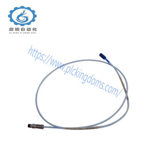 Bently Nevada 330106-05-30-15-02-00  TSI System