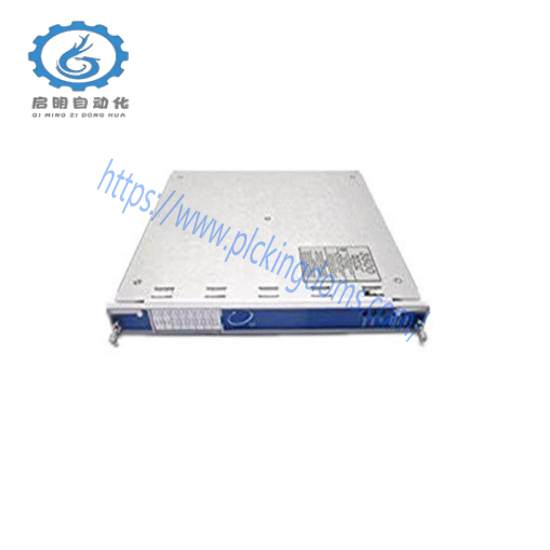 Bently Nevada 3500/65-A01-B01 TEMPERATURE MONITOR