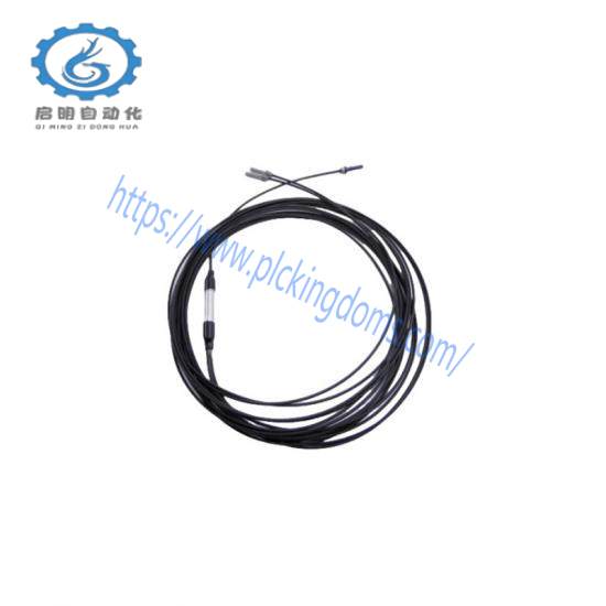 Busak+Shamban Ring PT301100-T46N