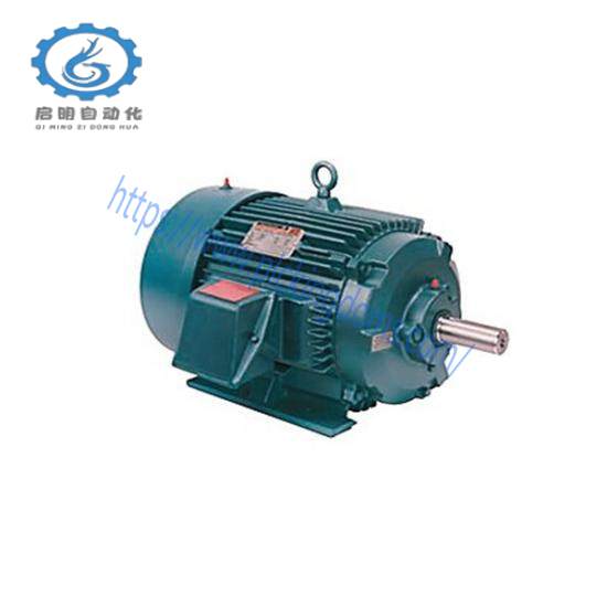 CM202 Motor