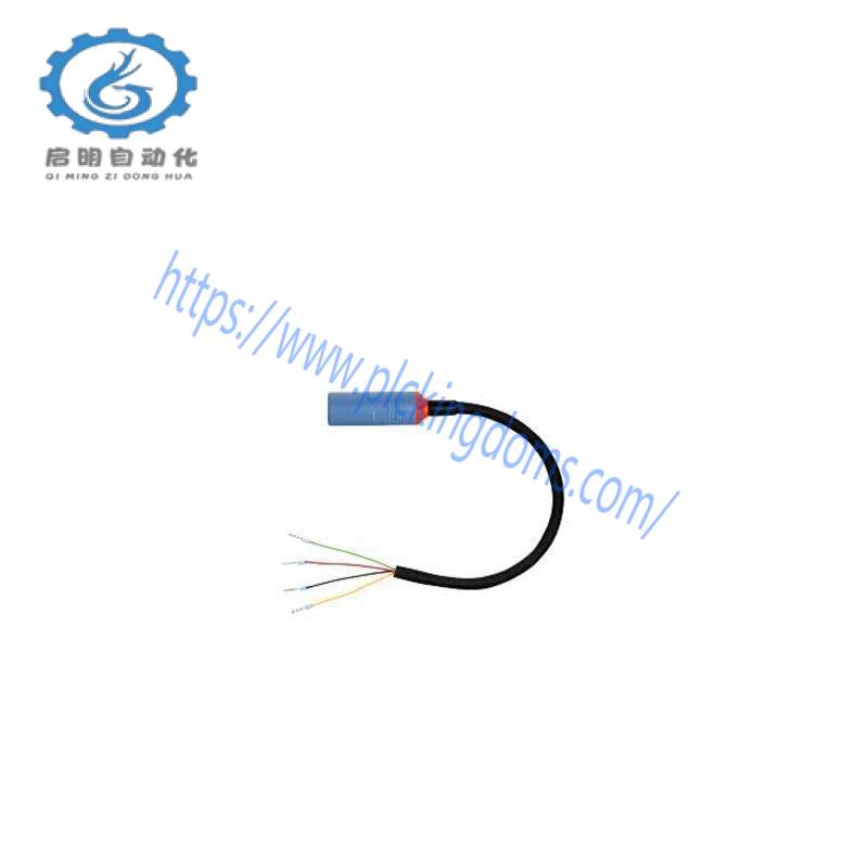 E+H CYK10-G101 Digital Measuring Cable