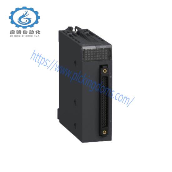 Discrete Input Module BMXDD032O2K  Schneider Electric