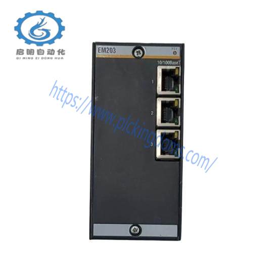 EM203  Ethernet Module  Bachmann