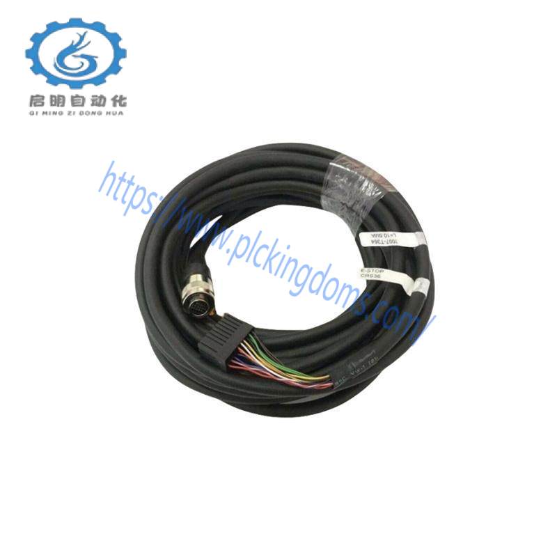 FANUC 2007-T364 Cable