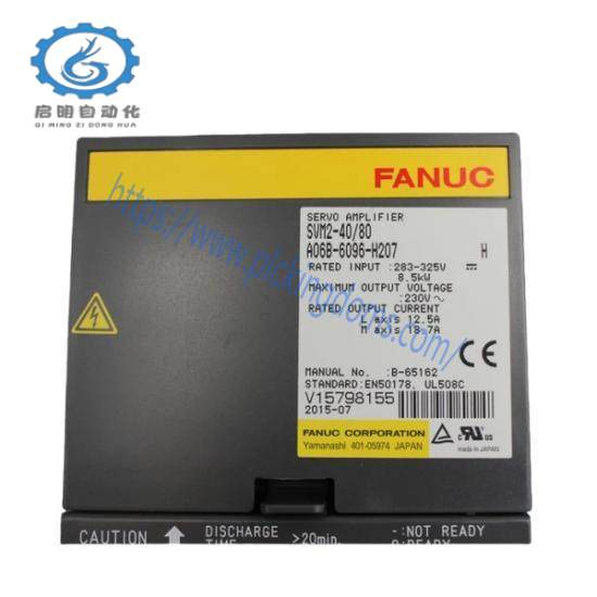 Fanuc A06B-6096-H207  GE Servo Module