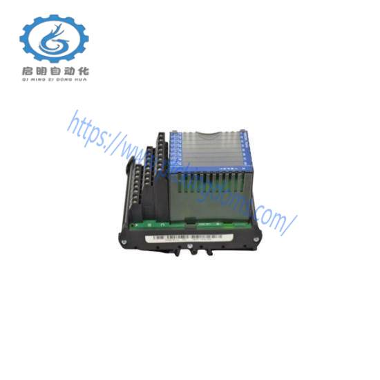 Foxboro Invensys FBM206 P0916JQ Terminal Assembly