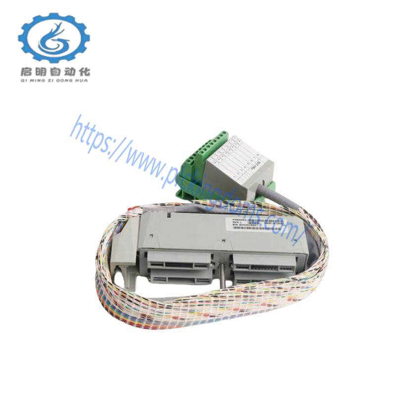 FOXBORO P0500RG
