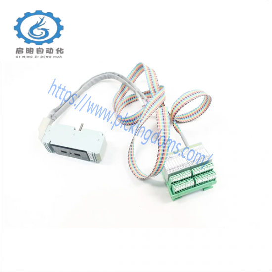 FOXBORO P0500SR Termination Cable Assembly