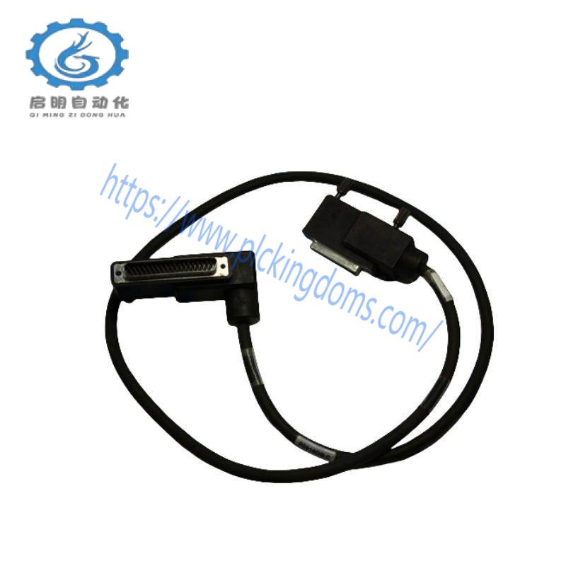 Foxboro P0916DB TERMINATION CABLE