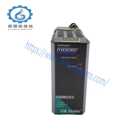 FOXBORO P0916FK