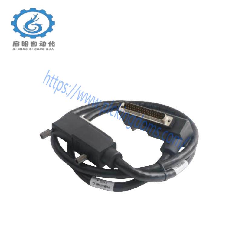 Foxboro P0916WE TERMINATION CABLE