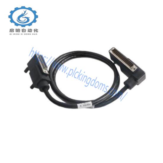 FOXBORO P0931RQ Cable