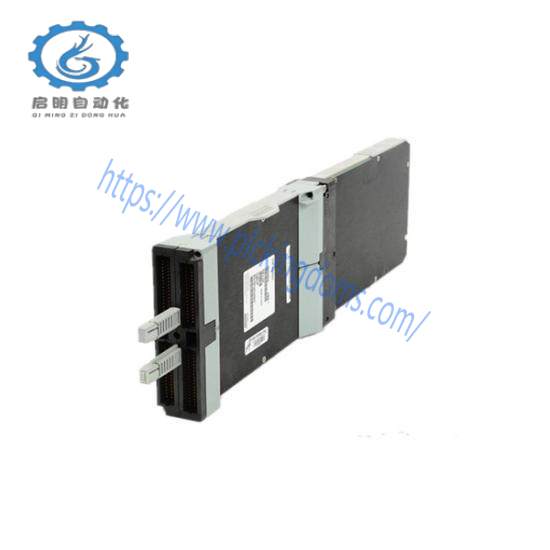 FOXBORO P0960JA-CP40