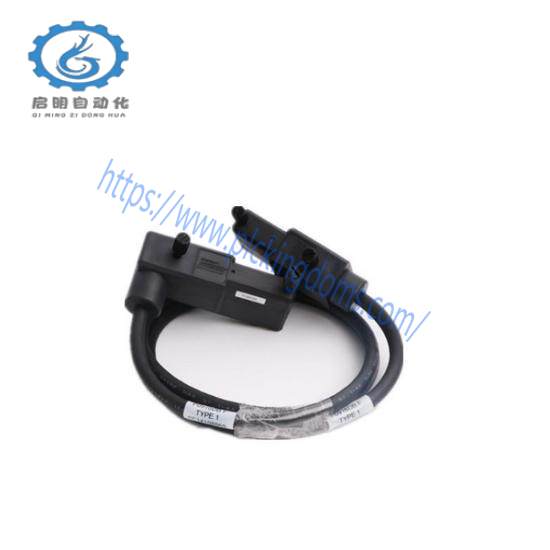 FOXBORO P0961FX-CP60S