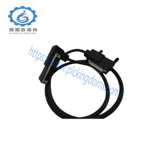 Foxboro RH916DB  Termination Cable