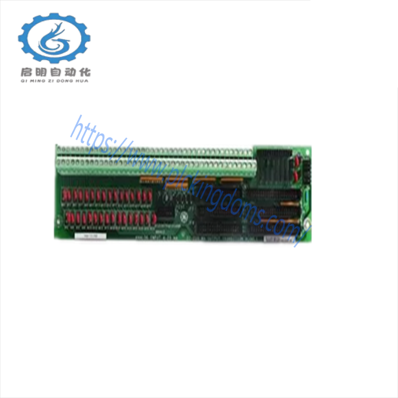 GE DS200TBCBG1AAA Termination Analog Card