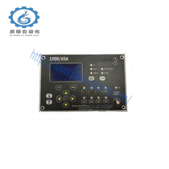 GE DS200TCPDG1BEC