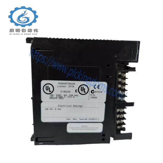 GE FANUC HE693RTD600R