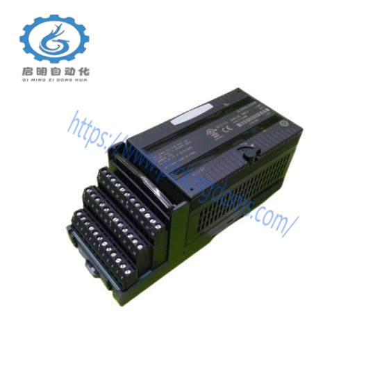 GE Fanuc IC200ALG266F input module
