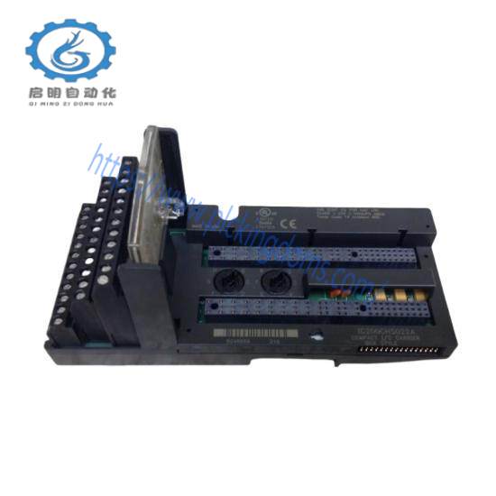 GE FANUC IC200CHS022