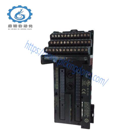 GE FANUC IC200CHS022 Controllers