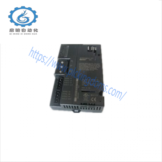 GE FANUC IC200PB1001 MODULE