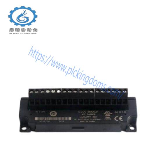GE Fanuc IC200TBM002  Versamax PLC
