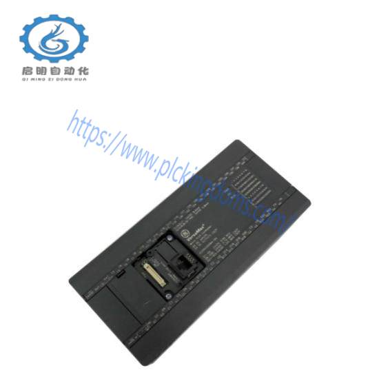 GE Fanuc IC200UEM001 Versamax PLC